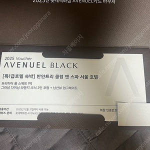 반얀트리 클럽 앤 스파 서울 프리미어 스위트풀 +조식2인 + 남산뷰
