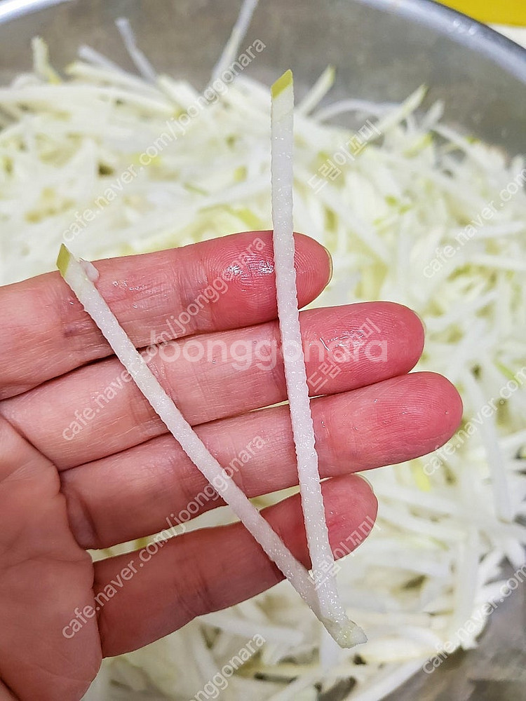 무채 절단기 업소용 야채 대형무 가능 무말랭이 족발 보...--0