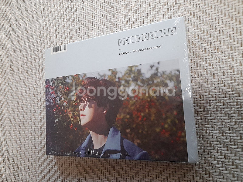 (팝니다) (가격 내림) 아이돌 굿즈 (르세라핌, 규현...--4