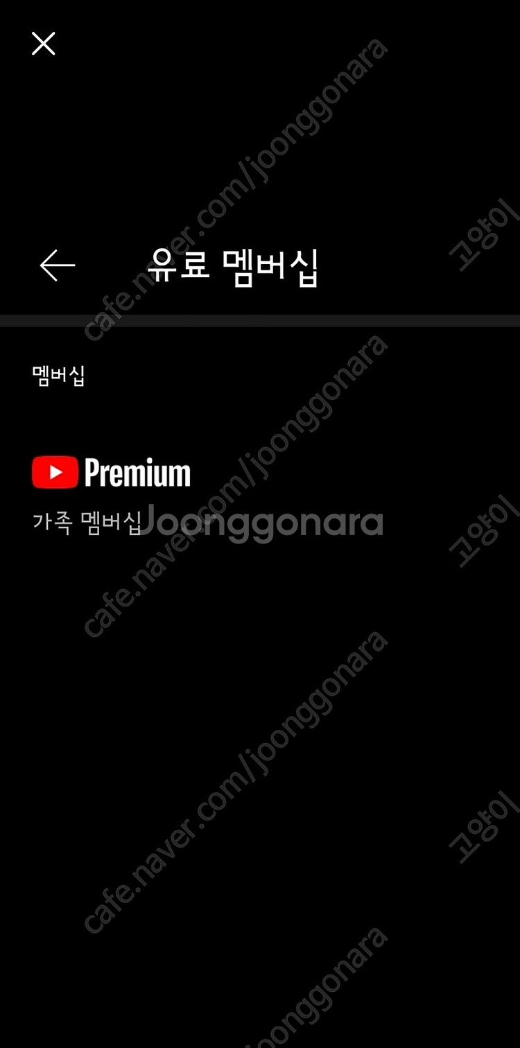 유튜브프리미엄 페루 가족멤버쉽 파티원 1명 추가모집--0