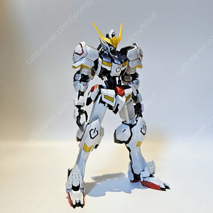 pg hirm mg rg hg 가조 순조 다양하게 정리합니다