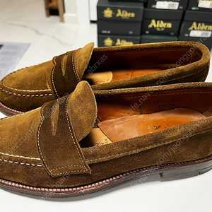 ALDEN 알든 6243F 7E