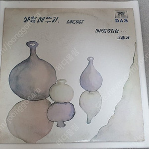 사철메뚜기 로커스트 LP 대성