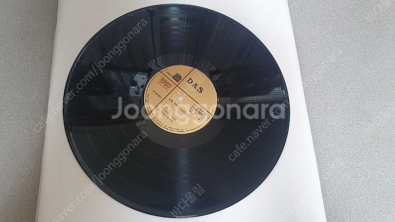 사철메뚜기 로커스트 LP 대성--3