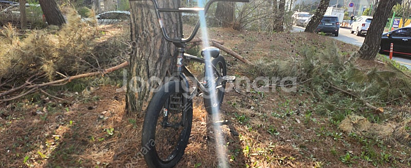 킨크bmx whip XL 2023 판/대!--1