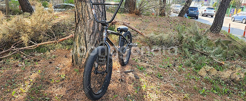 킨크bmx whip XL 2023 판/대!--2