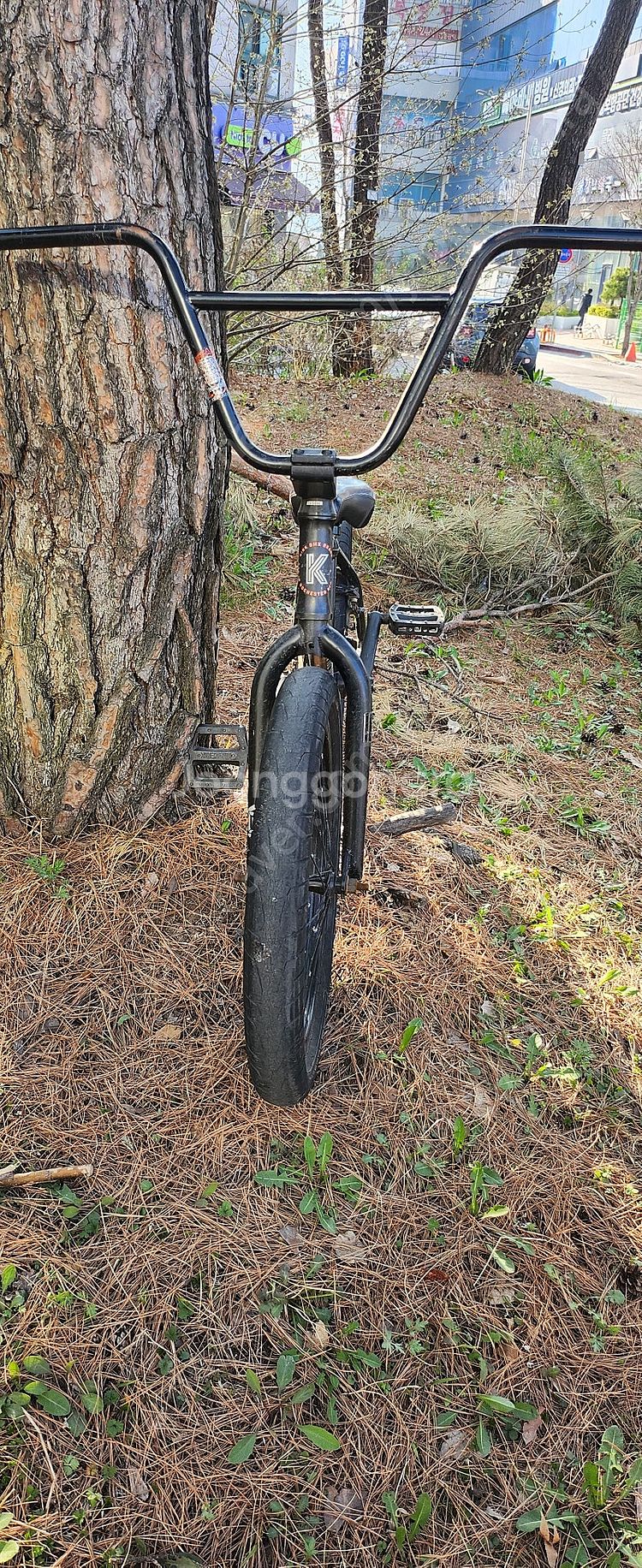 킨크bmx whip XL 2023 판/대!--3
