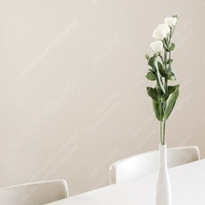 kt 데이터 2기가 판매합니다 (2300원)
