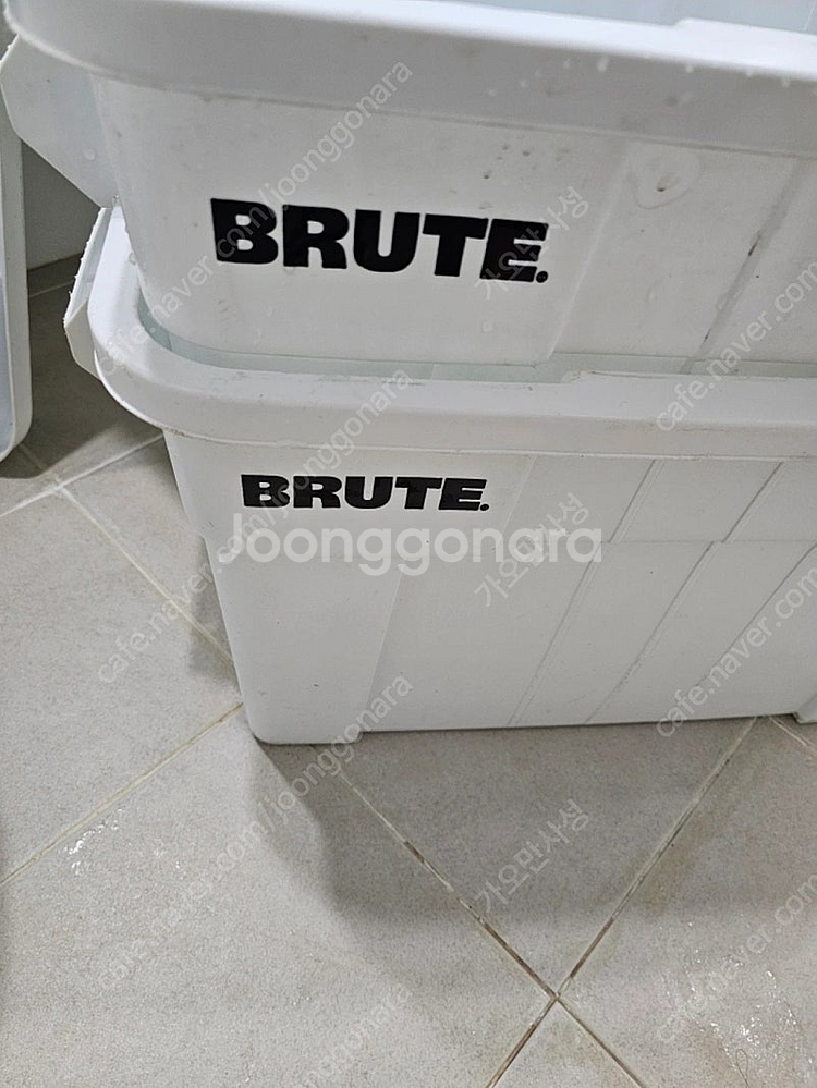 BRUTE 플라스틱 수납함 2개 브루트 도트박스 화이트...--0