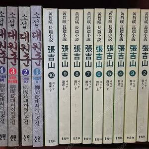 황석영 장길산 + 대원군 (택포)