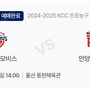 4.13(일) 모비스 정관장 s석 2연석