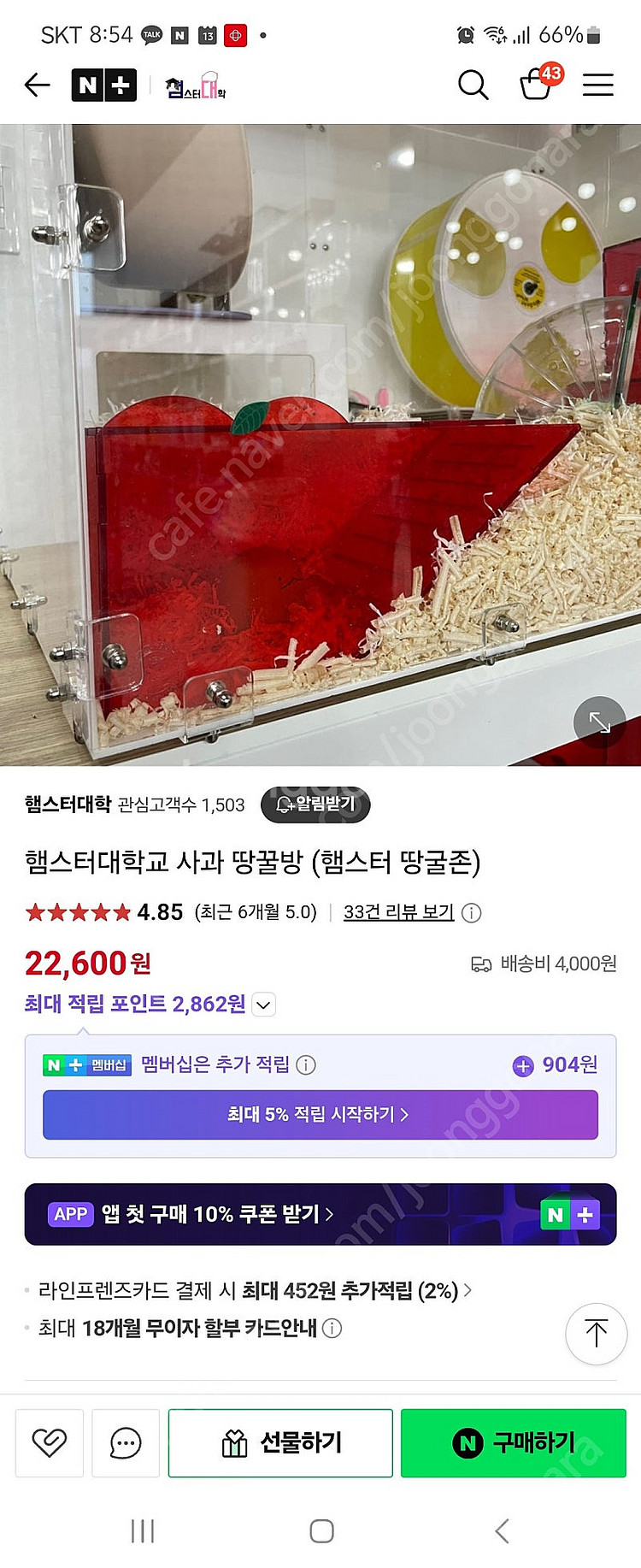 햄스터대학 사과땅굴방--1