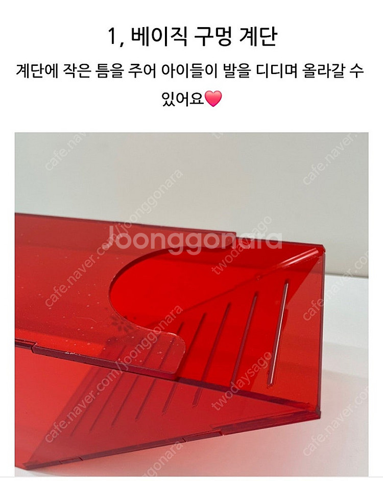 햄스터대학 사과땅굴방--6