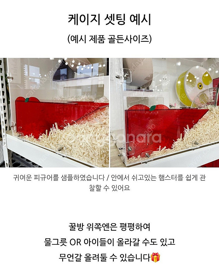 햄스터대학 사과땅굴방--8