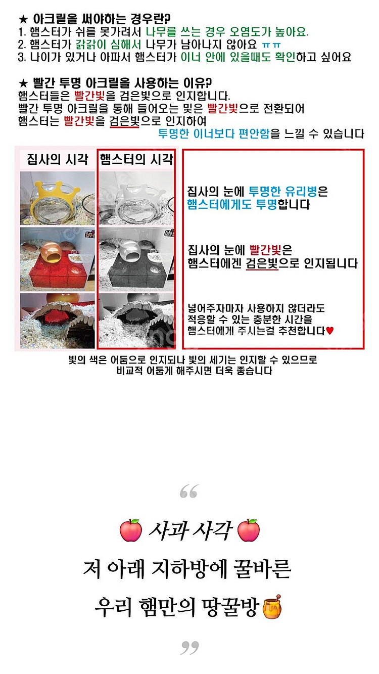 햄스터대학 사과땅굴방--9