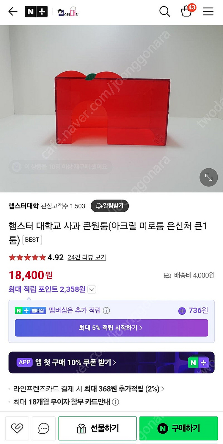 햄스터대학 사과 큰원룸--1