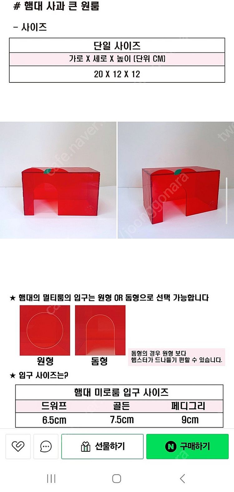 햄스터대학 사과 큰원룸--3