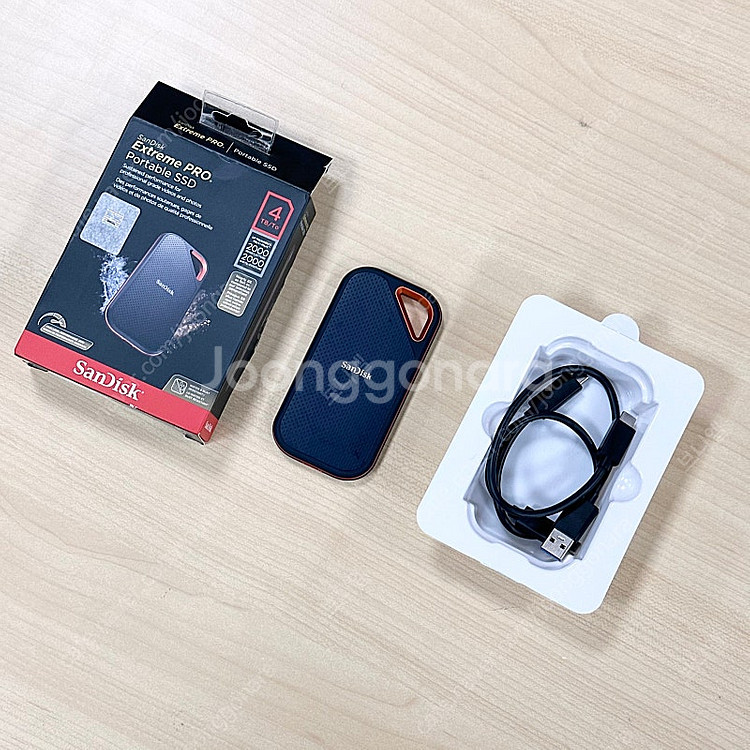 샌디스크 SSD 4T E81--1