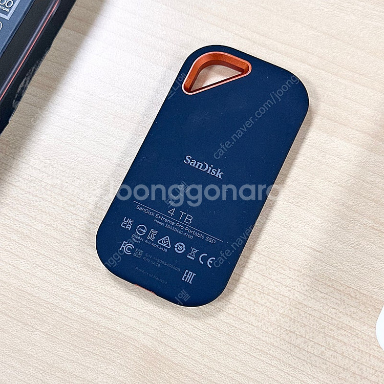 샌디스크 SSD 4T E81--2