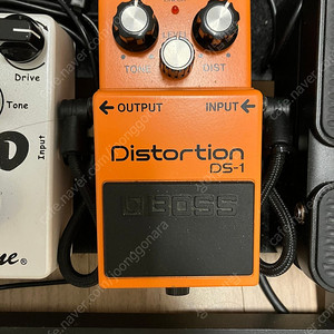 보스 ds1