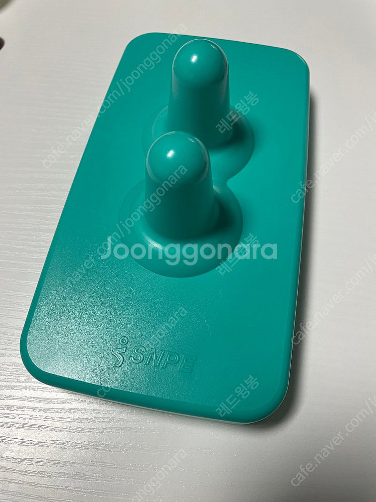 SNPE 다나손--0