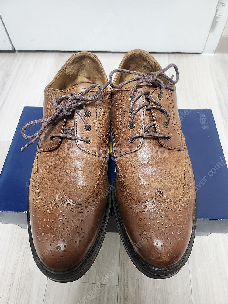 폴로 Norbeck 윙팁 레더 브라운 9D--0