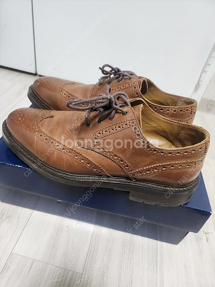 폴로 Norbeck 윙팁 레더 브라운 9D--1