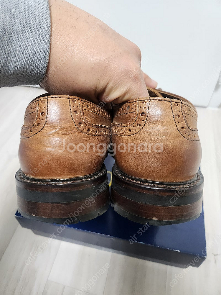 폴로 Norbeck 윙팁 레더 브라운 9D--4