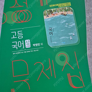 고등국어 박영민 평가문제집
