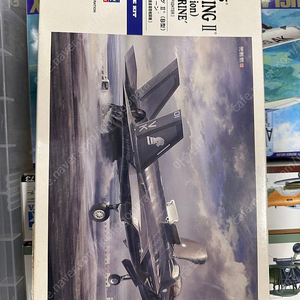 F-35 비행기 프라모델