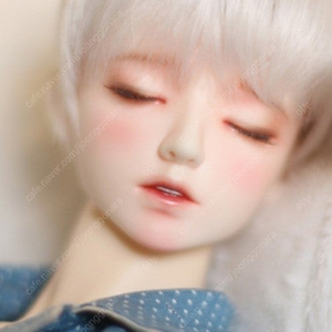 겨울비스튜디오 슬리핑 진 우유 헤드 미개봉 구체관절인형