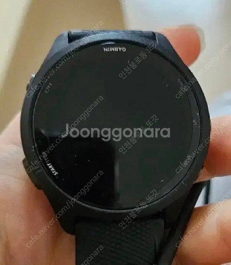 가민포러너--0