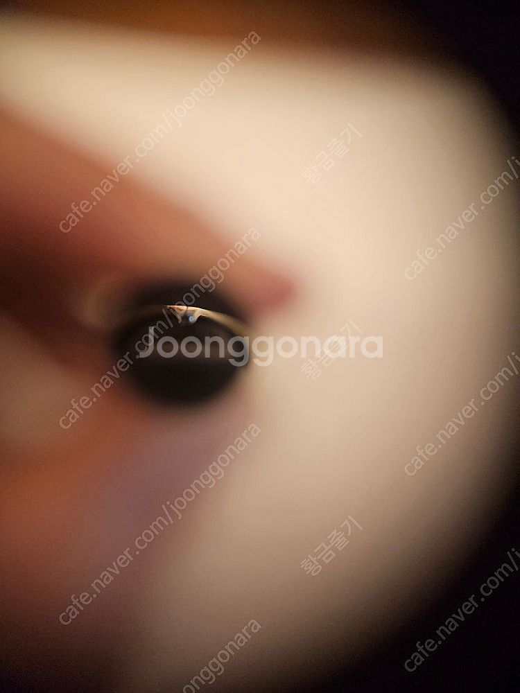 카터펜 만년필--8