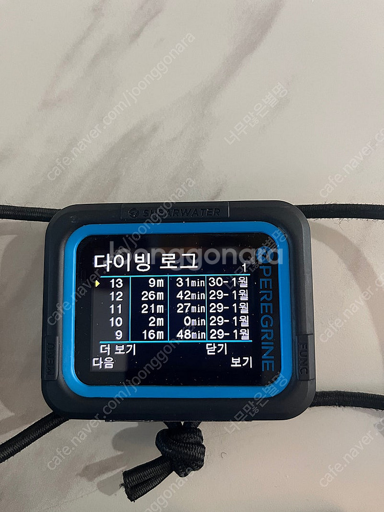 쉐어워터 페레그린--1
