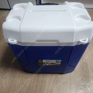 이글루(IGLOO) 아이스 박스 43L 인천 동암역부근 직거래 4만, 인천내 배송가능