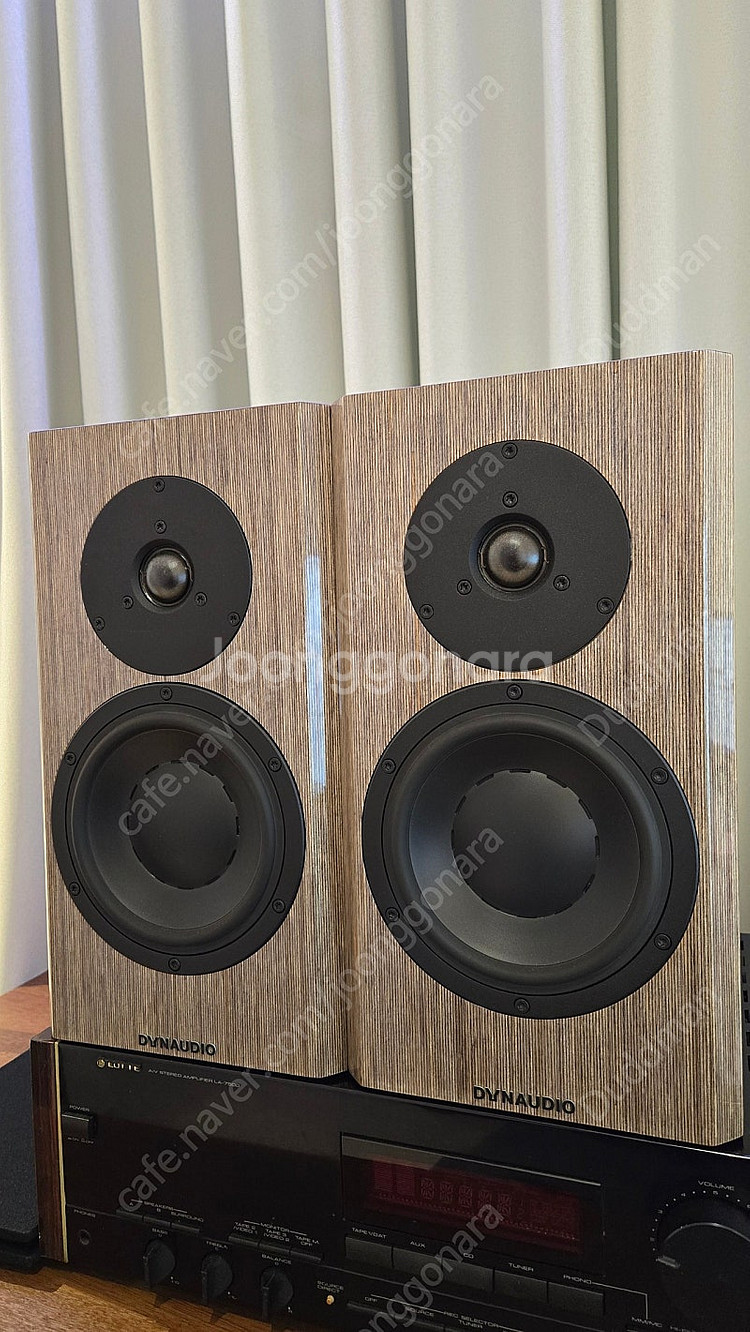 다인 40주년 스피커 민트급--1