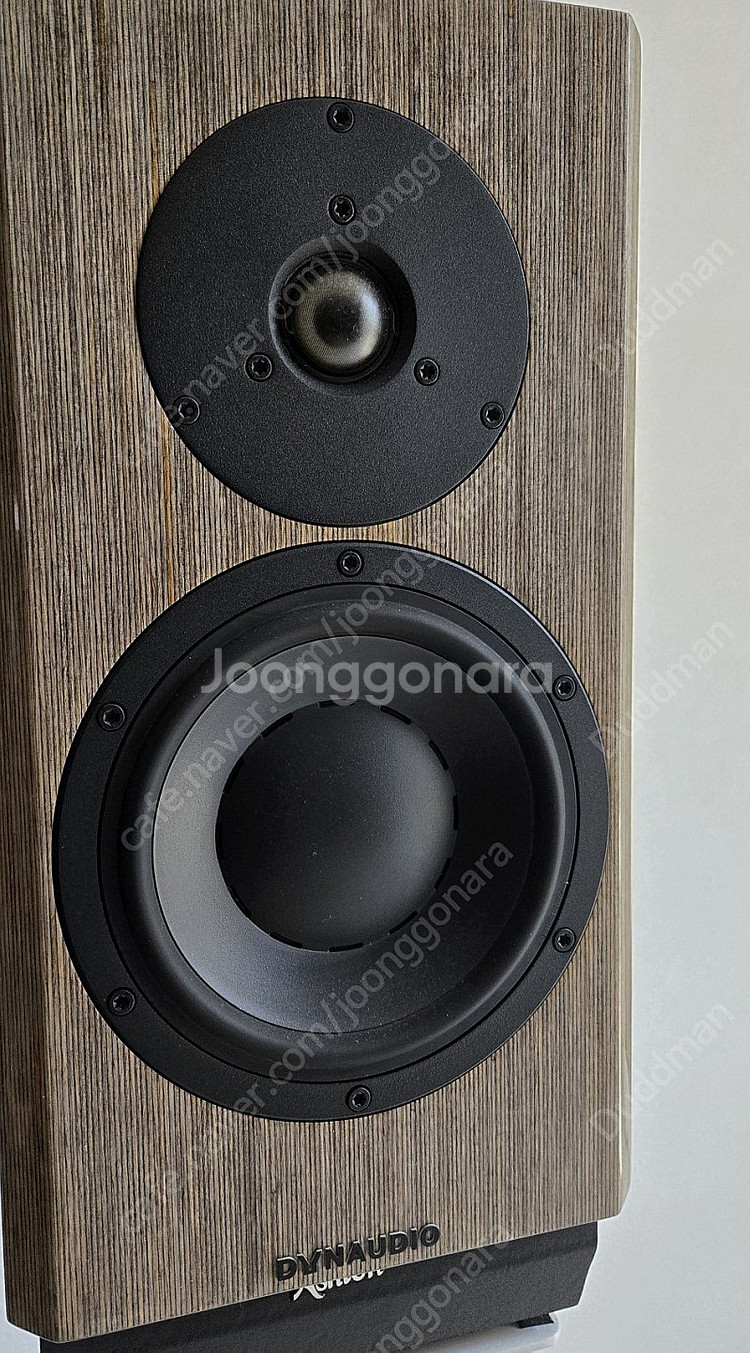 다인 40주년 스피커 민트급--2