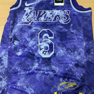 Nba 르브론제임스 사인유니폼팝니다