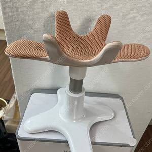 샘슨살롱 강아지 미용의자