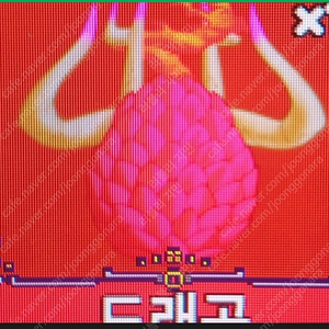 킹피스 용 열매