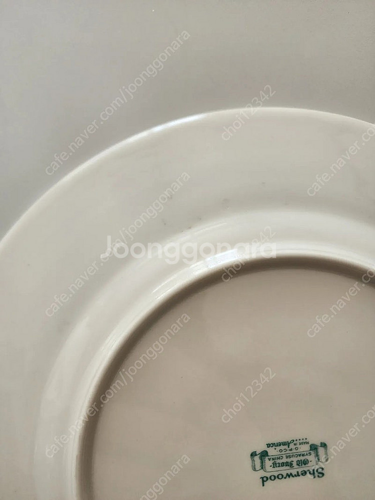 시라쿠스 블루로렐 디너접시 3장--9