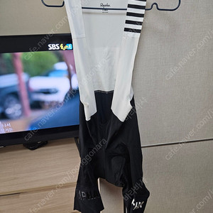 라파 프로팀 빕숏