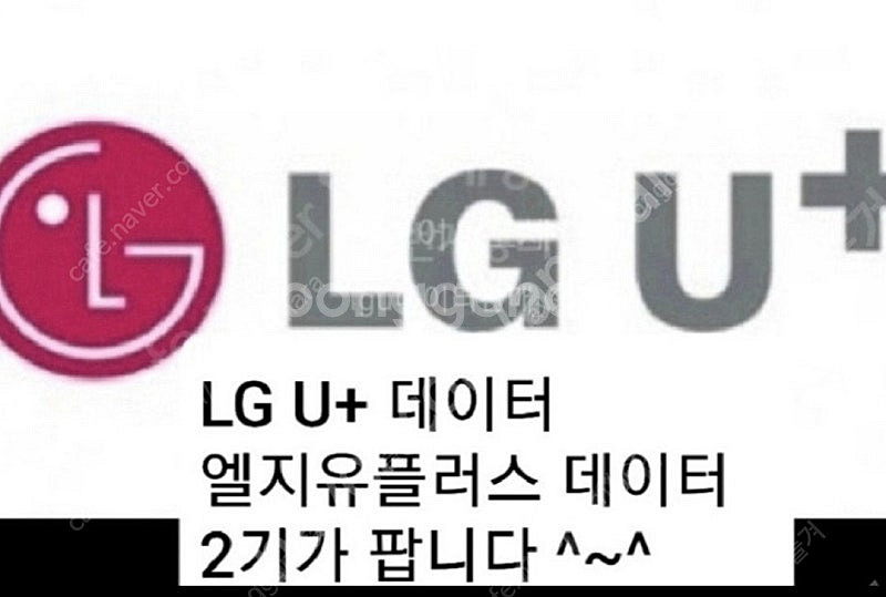 (빠른거래)lg u+엘지유플러스데이터 2기가 4000원...--0