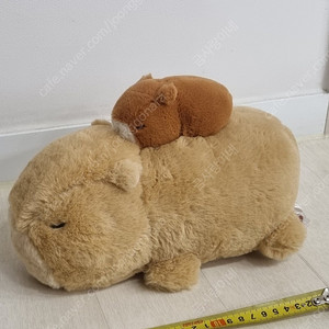 카피바라 인형 25cm