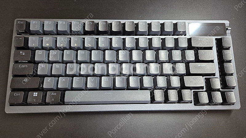 ASUS ROG Azoth 영문 적축--0