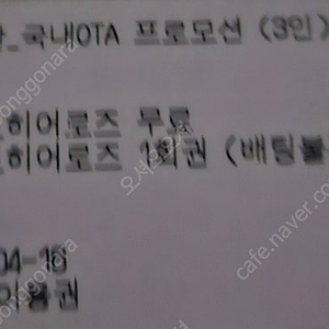 소노벨 천안 레전드히어로즈 3회권(배팅제외)