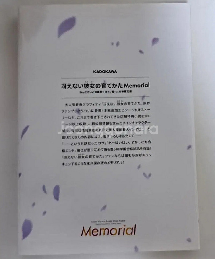 시원찮은 그녀를 위한 육성방법 사에카노 소설--1