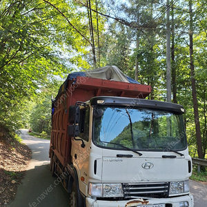 현대 메가5톤 집게차