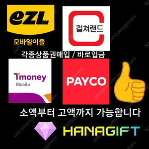 티머니 / 페이코 / 이즐 / 컬쳐랜드 삽니다.