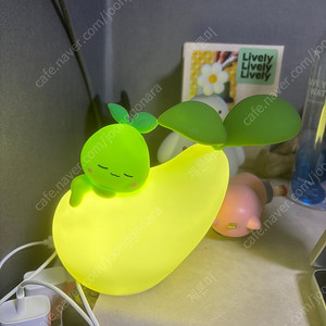 굿나잇 모코코 무드등 판매